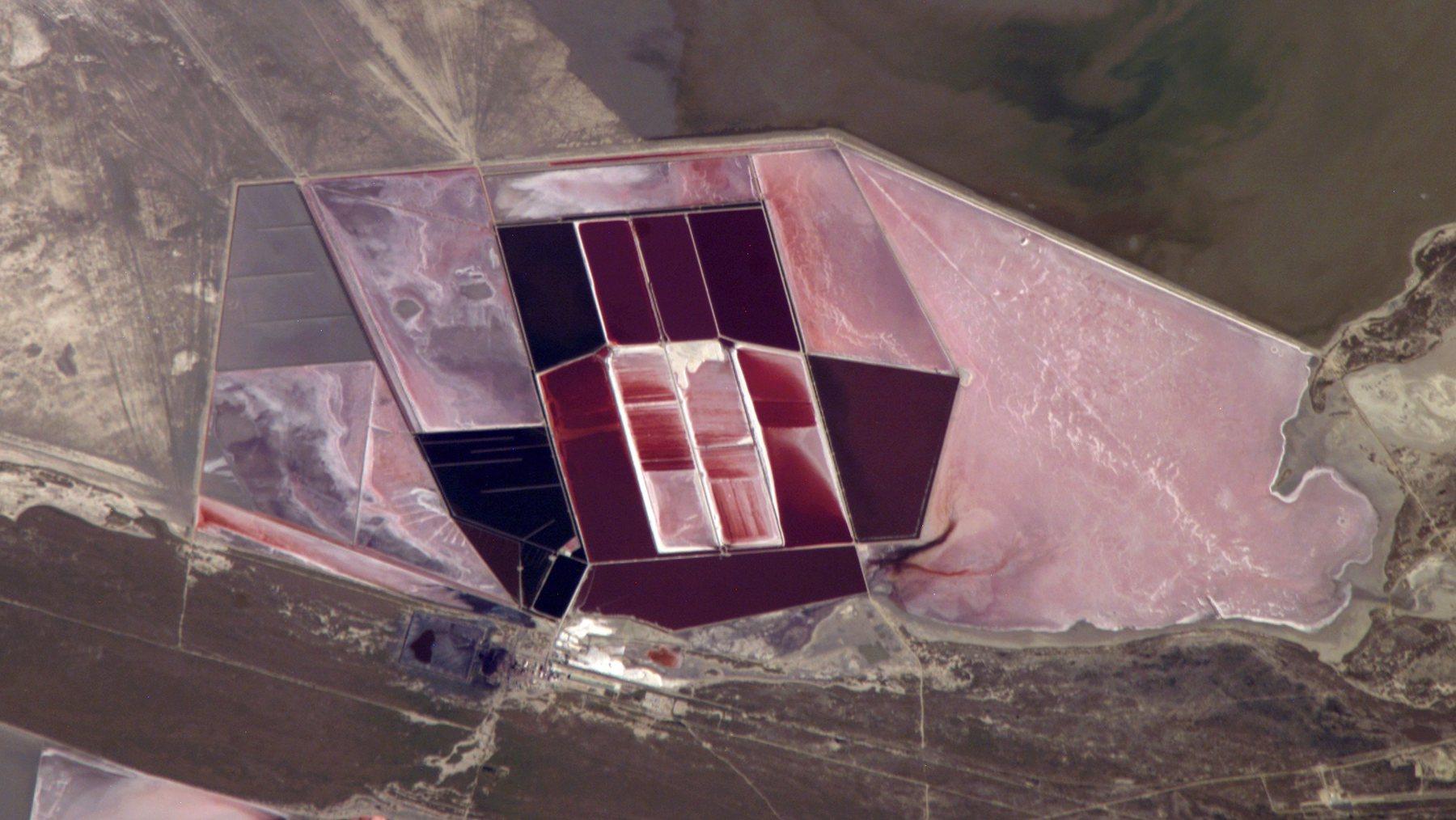 Rectangular salt evaporation ponds in shades of pink and maroon on a salt pan in Botswana, seen from the International Space Station.