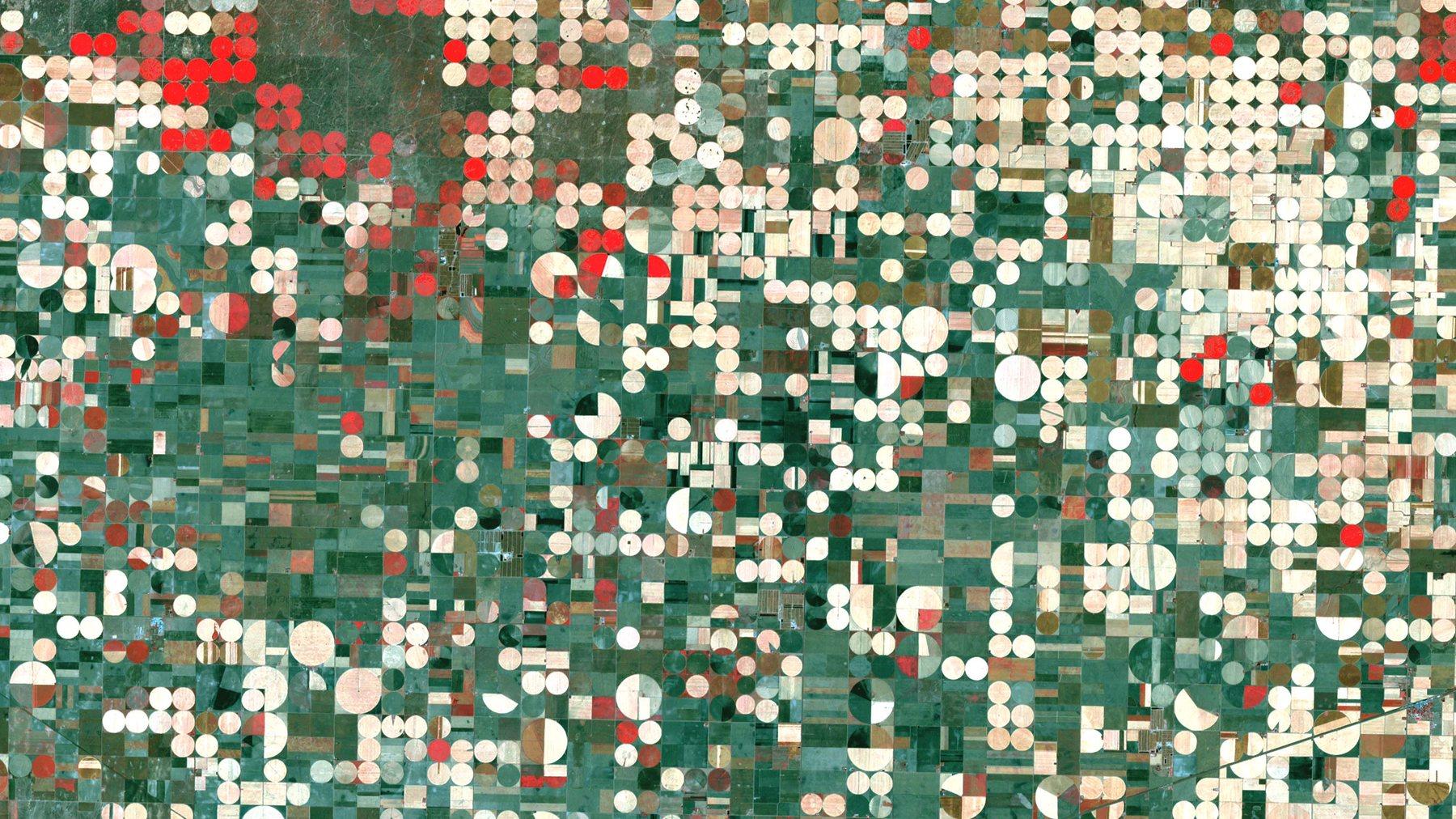 Hundreds of circular crop fields near Garden City, Kansas, each a different colour in false-colour Landsat imagery.