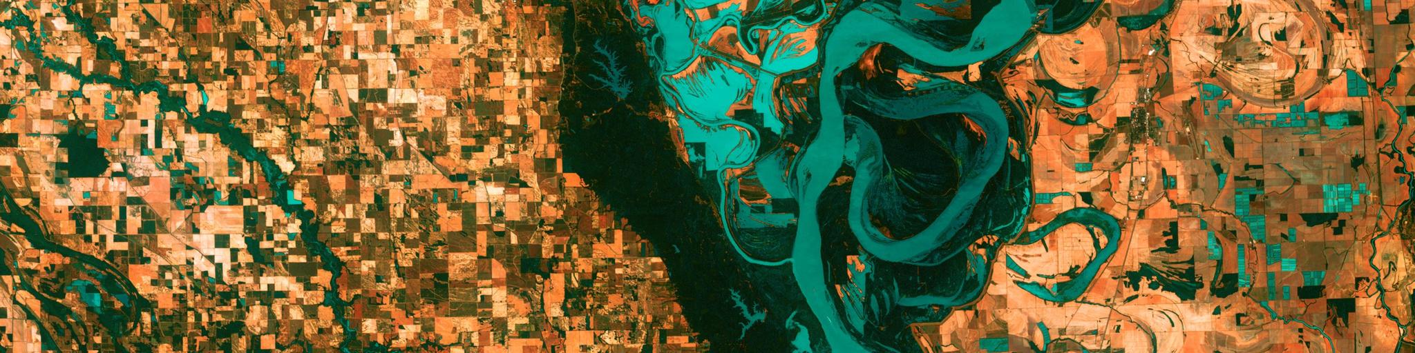 The Mississippi River looping through warm, patchwork farmland south of Memphis, with oxbow lakes left by old meanders.